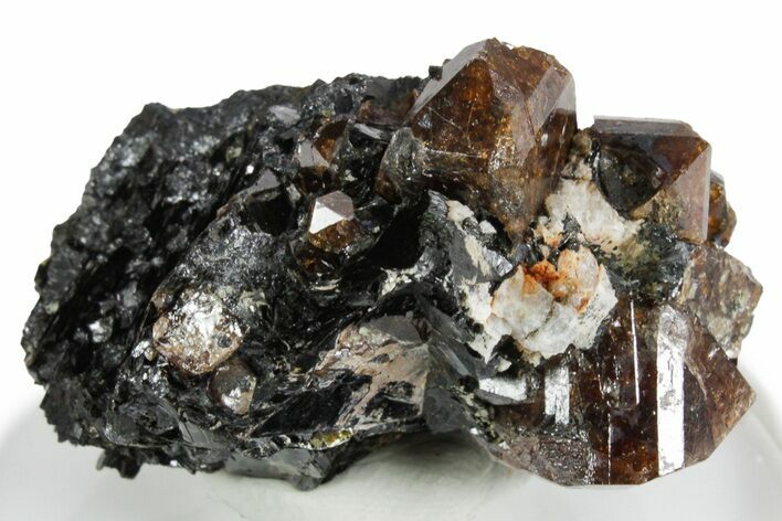 Fluorescent Zircon Crystals in Biotite Schist - Norway #351538